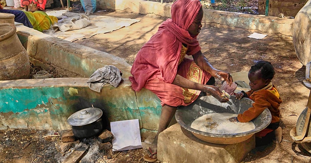 Sudan: Growing concern about atrocities committed in Darfur capital