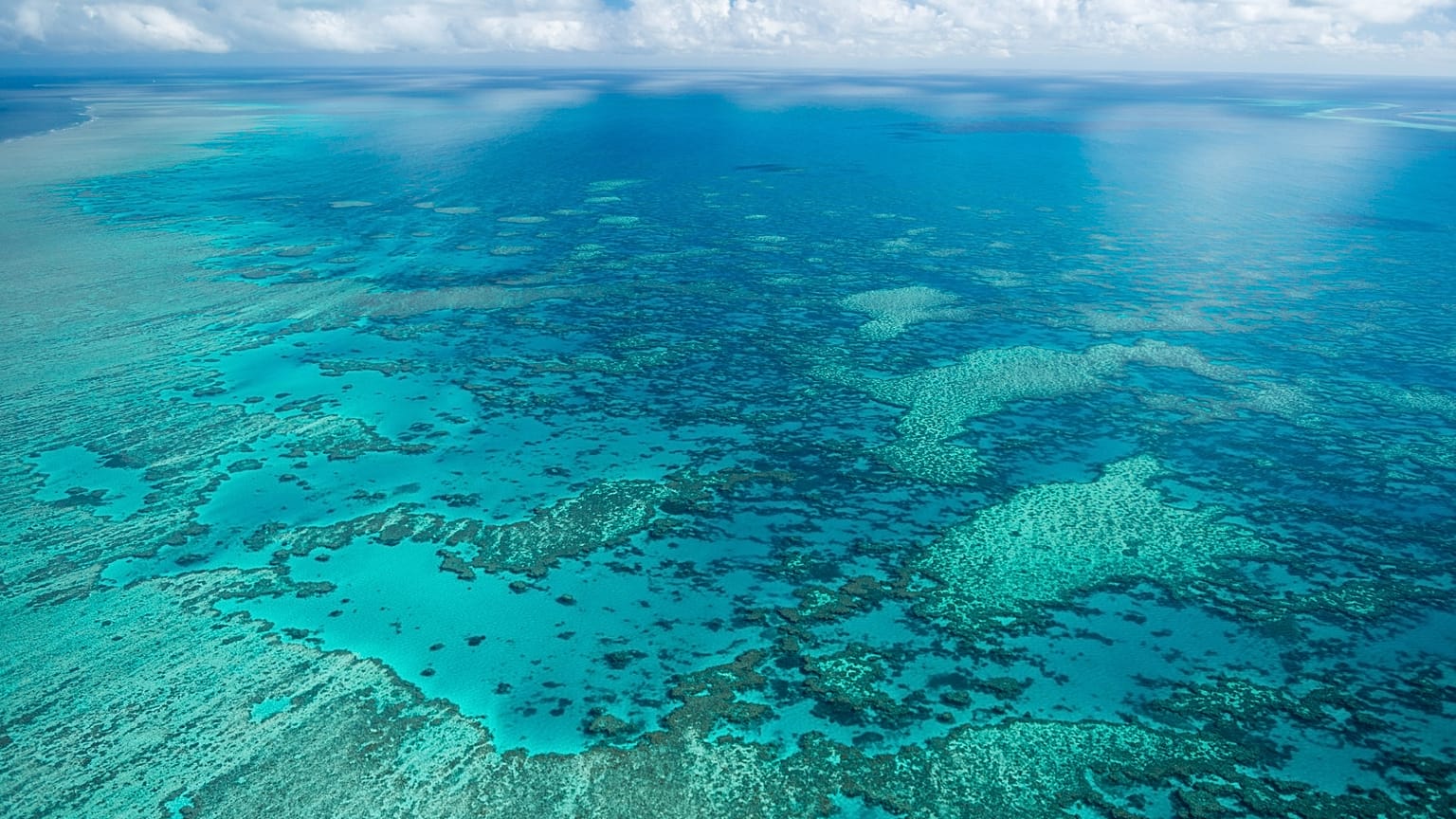 Hook Reef in the Whitsunday region is viewed from the air off the coast of Australia, 23 July, 2021