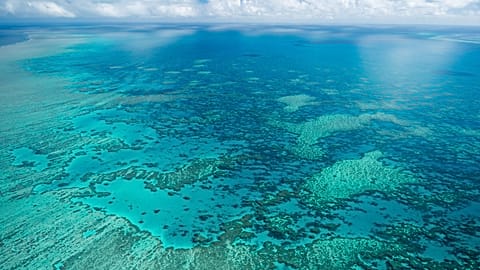Hook Reef, en la región de Whitsunday, vista desde el aire frente a la costa de Australia, 23 de julio de 2021.