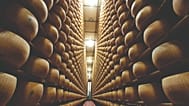 Ageing rooms, often referred to as “cheese cathedrals”, are aisles of shelves running from floor to ceiling.