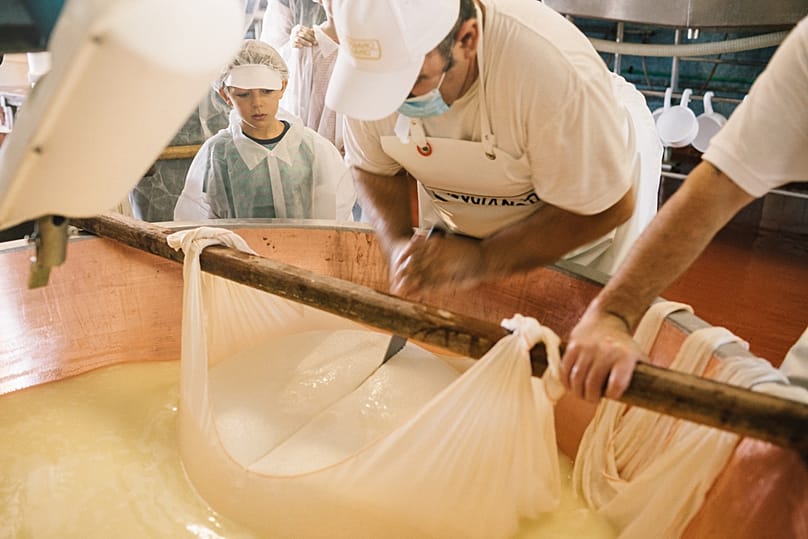 Caseifici Aperti invites the public to see how the cheese is made and why the strict rules behind it still matter.