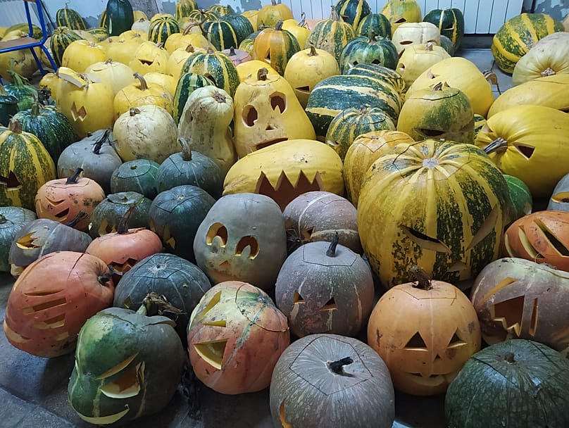 Abóboras para todos os gostos em Vilar de Perdizes