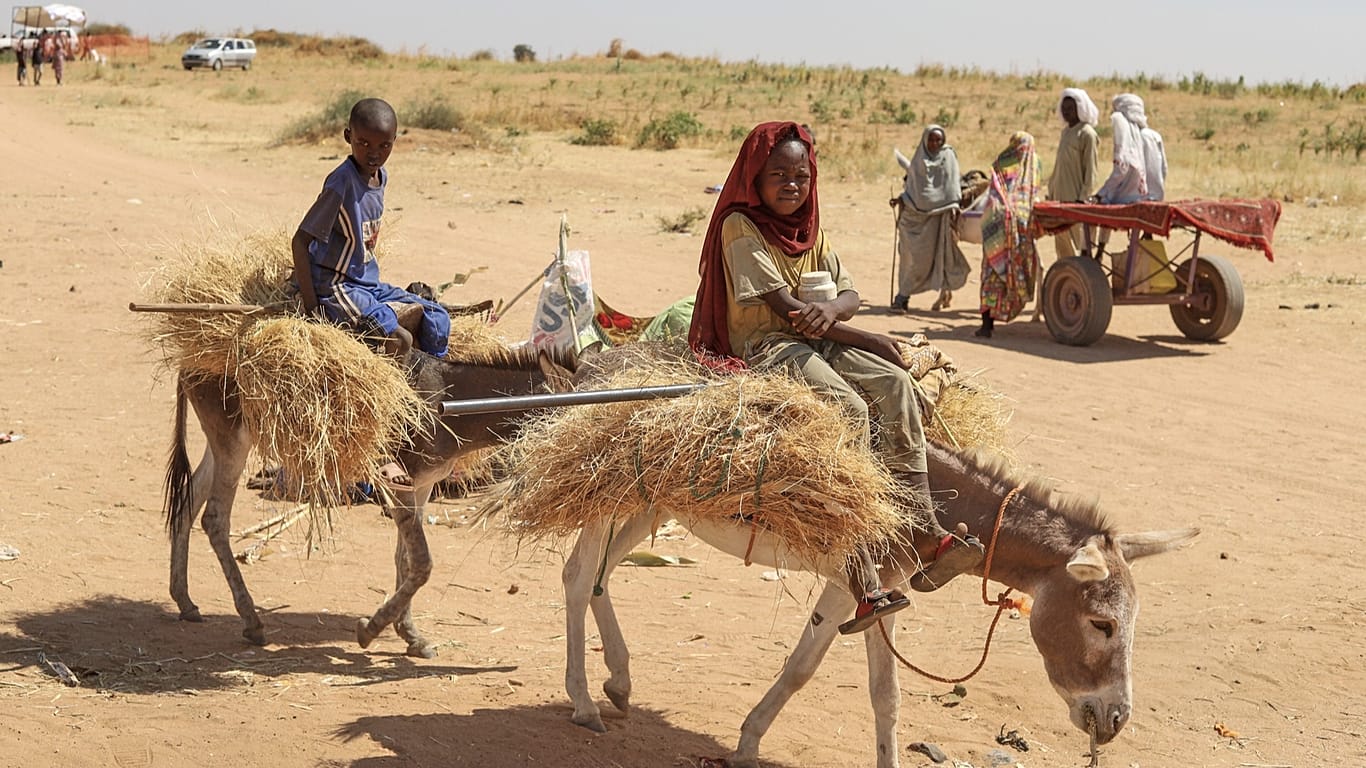 Sudanese paramilitary group accused of killing hundreds in North Darfur hospital