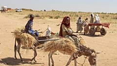 Dos niños norsudaneses huyen de la localidad de Al Fasher, después de que unas fuerzas paramilitares asesinasen a cientos de personas en un campo de refugiados de Tawila
