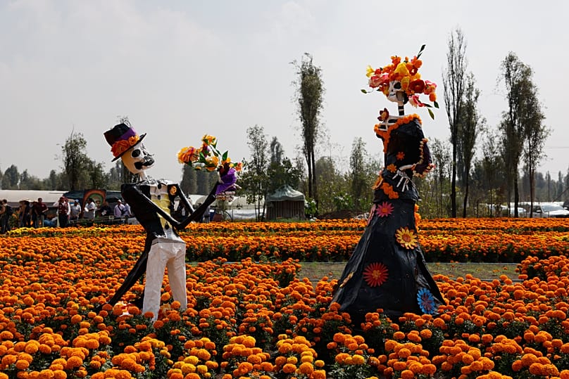 Esculturas de catrinas en un campo de flores de cempasúchil en San Luis Tlaxialtemalco, en las afueras de Ciudad de México.