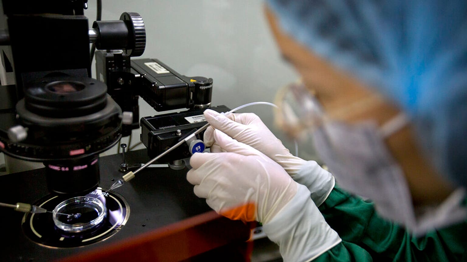 Zhou Xiaoqin installa una micropipetta di vetro in un microscopio per l'iniezione di sperma in preparazione all'iniezione di embrioni con la proteina Cas9 e l'sgRNA PCSK9 in un laboratorio di Shenzhen, nella provincia meridionale cinese di Guangdong.