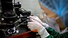 Zhou Xiaoqin setzt eine Glasmikropipette in ein Mikroskop zur Spermieninjektion ein, um die Injektion von Embryonen mit Cas9-Protein und PCSK9 sgRNA in einem Labor in Shenzhen in der südchinesischen Provinz Guangdong vorzubereiten.