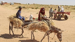 نازحون سودانيون من مدينة الفاشر بعد مقتل مئات المدنيين على يد قوات الدعم السريع في إقليم دارفور الغربي، الأربعاء 29 أكتوبر 2025.