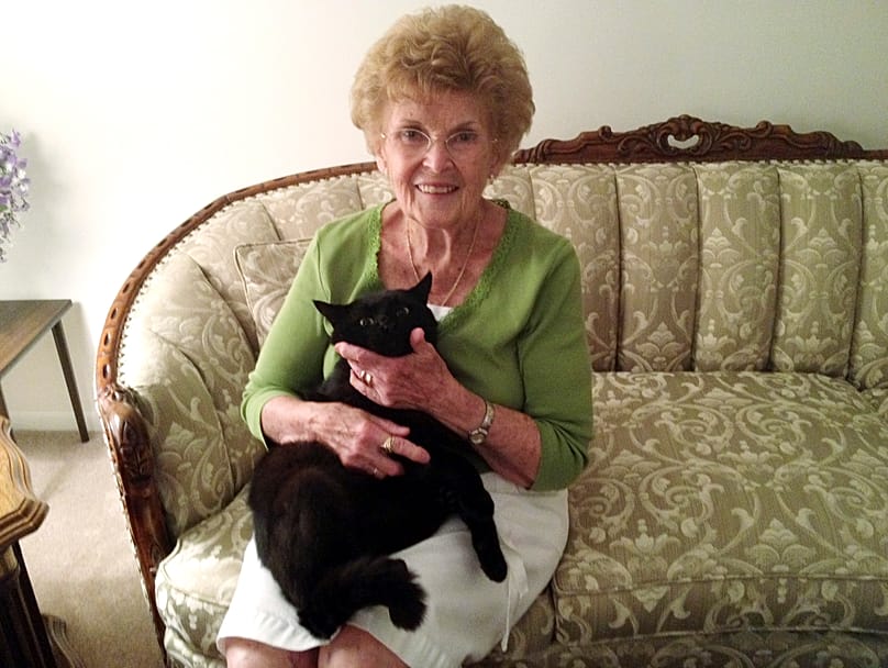 Schwarze Katzen sind das Symbol von Halloween