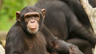 Arşiv görüntüsü