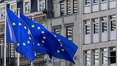 DOSSIER : Les drapeaux européens flottent au vent avant un sommet de l'UE à Bruxelles, le 27 juin 2024.