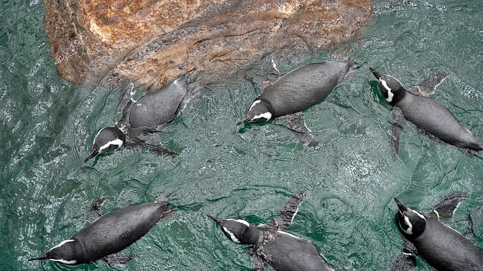 Πορτογαλία 