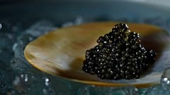 Kaviar