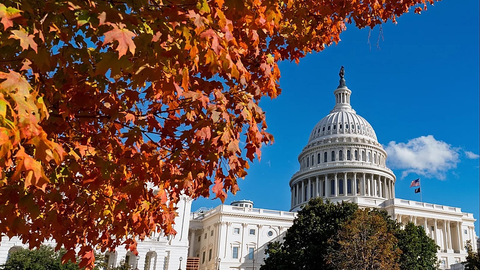 The Capitol is seen on day 34 of the government shutdown, in Washington, Monday, Nov. 3, 2025. (AP Photo/J. Scott Applewhite)