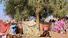 سودانية فرت من مدينة الفاشر بعد أن قتلت القوات شبه العسكرية السودانية مئات الأشخاص في إقليم دارفور غربي البلاد