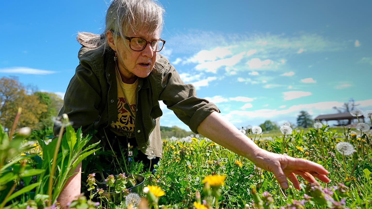 صورة تعبيرية لسيدة وسط نبات 