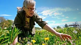 صورة تعبيرية لسيدة وسط نبات 