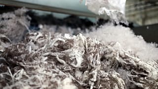 يُجمع صوف البيسون يوم الأربعاء 3 يوليو 2019 في حاوية بمصنع American Woolen Company Inc.