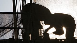 صورة تعبيرية لعمال فوق أحد الأسطح 