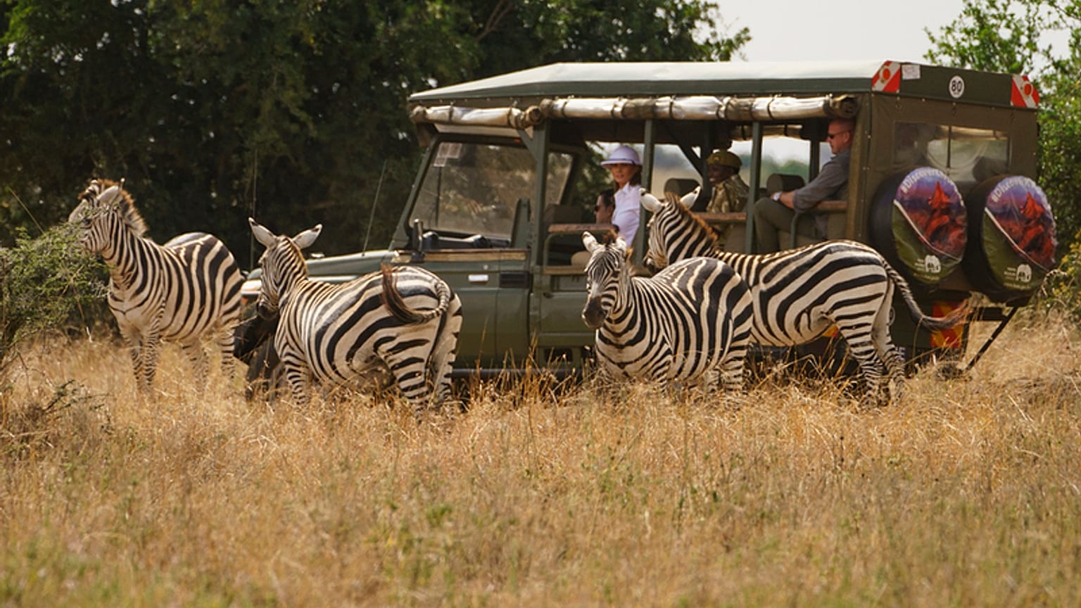 السيدة الأميركية الأولى ميلانيا ترامب تراقب الحمير الوحشية خلال رحلة سفاري في كينيا