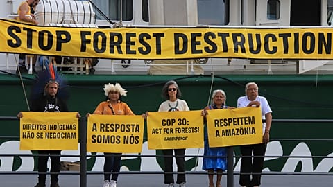 Greenpeace activists at the COP30 in Belém