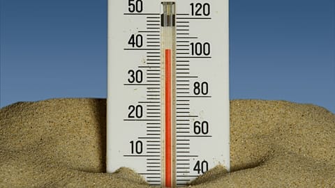 Some sesearchers believe AI systems can better predict heatwaves