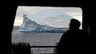 أحد ركاب السفينة البحرية التشيلية "أكوليس" ينظر إلى جبل جليدي في مضيق برانسفيلد، جزر شيتلاند الجنوبية، أنتاركتيكا