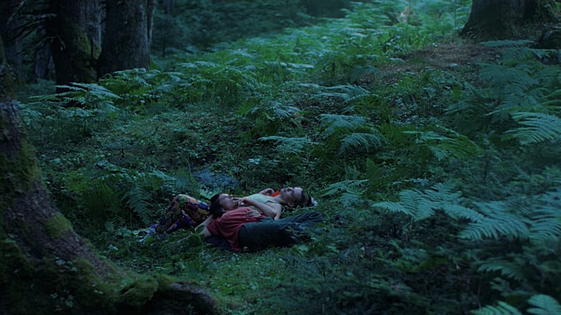 «Αρκουδότρυπα»