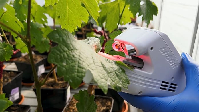 In Francia la startup che fa risparmiare acqua in agricoltura