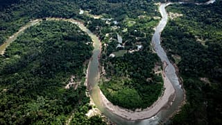 Caxiuana National Forest, Para state, Brazil, Saturday, March 22, 2025. Photo by Jorge Saenz