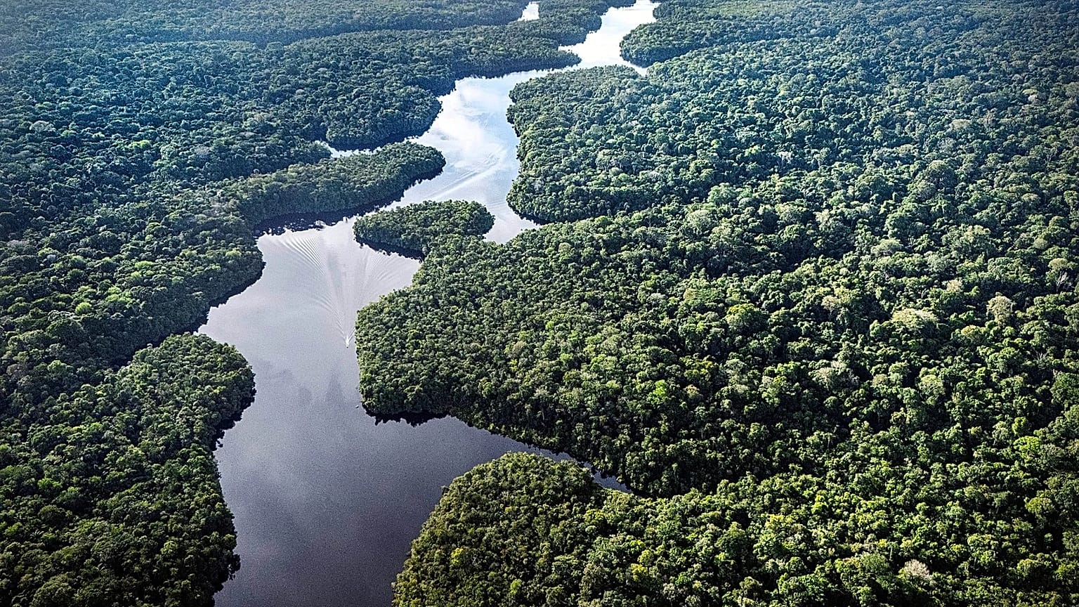 El río Curua fluye cerca del proyecto Esecaflor en la Selva Nacional de Caxiuana, 22 de marzo de 2025.
