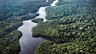 La rivière Curua coule près du projet Esecaflor dans la forêt nationale de Caxiuana, 22 mars 2025