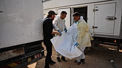 иллюстрационное фото