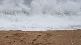 Φωτογραφία αρχείου