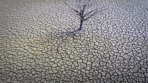 Ταμιευτήρας Sau, περίπου 100 χλμ. βόρεια της Βαρκελώνης, Μάρτιος 2023.