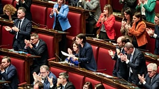 Leader del Partito Democratico parla in Parlamento, Roma, foto d'archivio