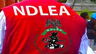 Nigeria: NDLEA arrests suspected drug kingpin at Lagos Airport