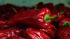 Rote Espelette-Chilis