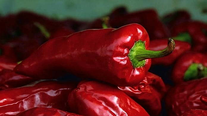 El festival del pimiento rojo de Espelette, comida, música y miles de visitantes