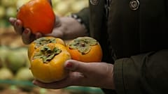 Архив: калифорнийская хурма, ноябрь 2012 г. 