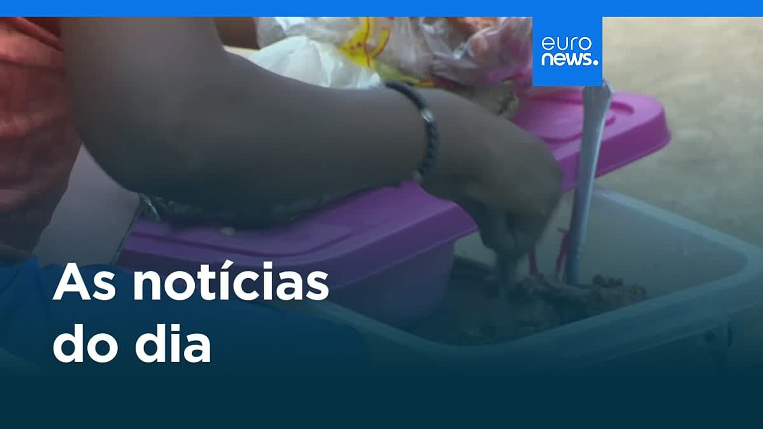 Notícias do dia | 11 de novembro 2025 - Manhã