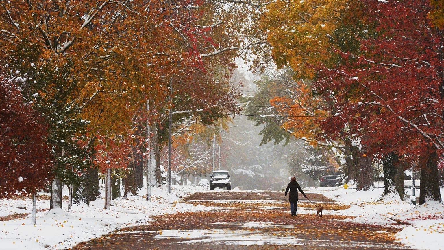 Passeador de cães segue pela Forres Avenue, em St. Joseph, Michigan, segunda-feira, 10 de nov. de 2025
