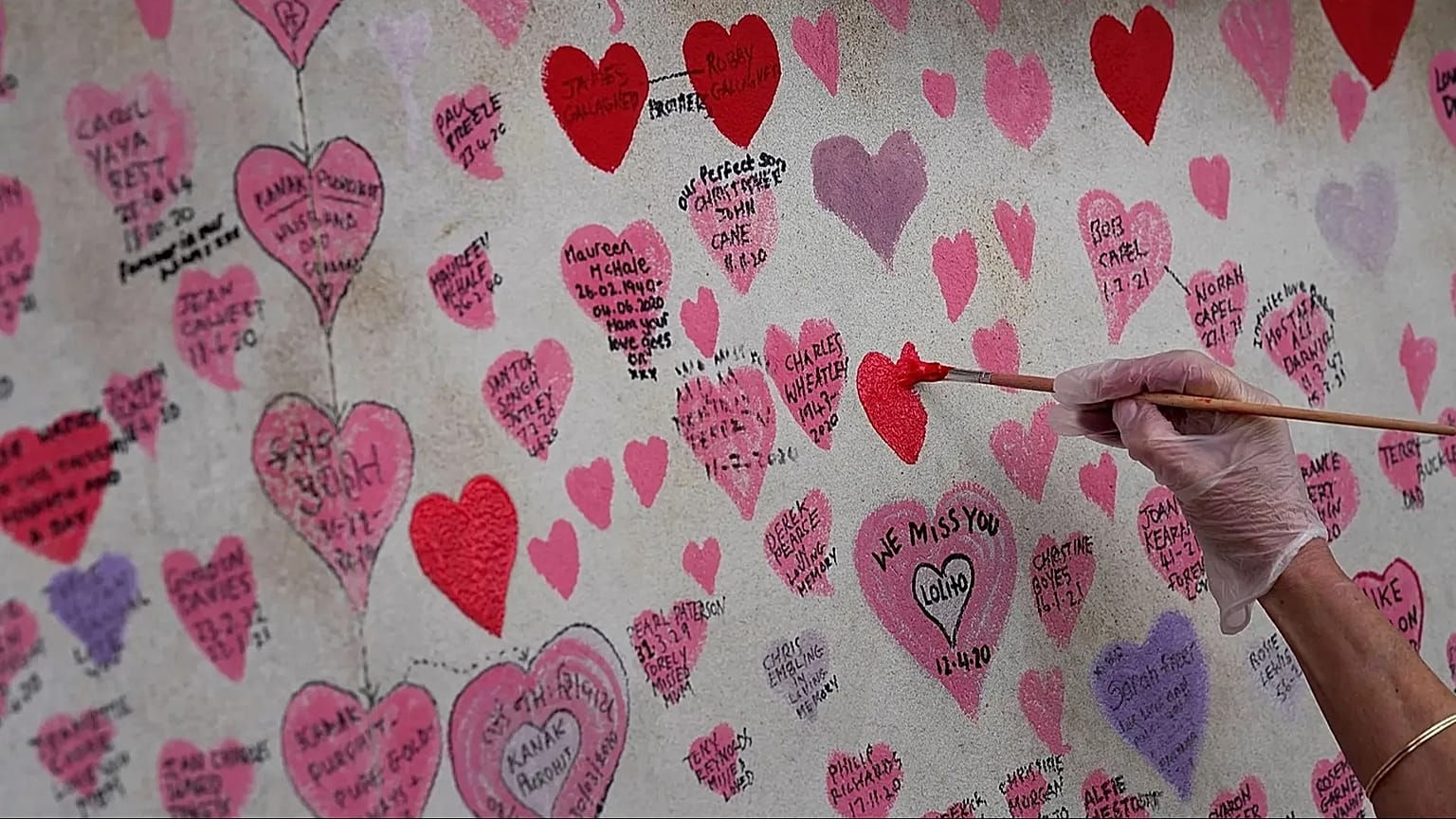 A volunteer re-paints a faded heart on the COVID-19 memorial wall in London, 15 October, 2021