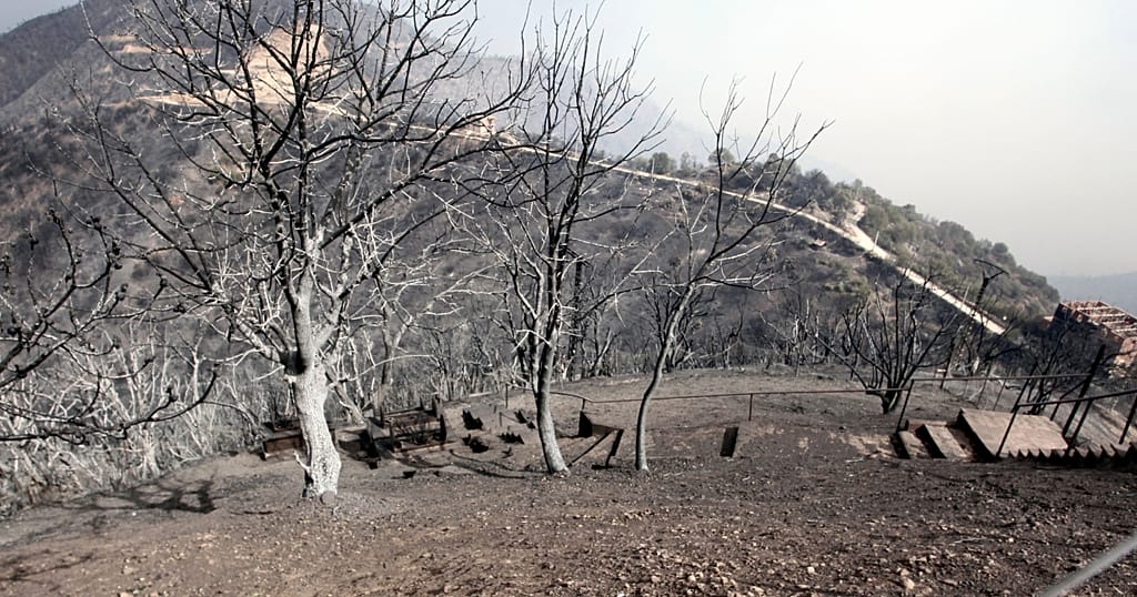 Algeria sees more than 22 wildfires in 8 provinces as southern winds see temperatures soar