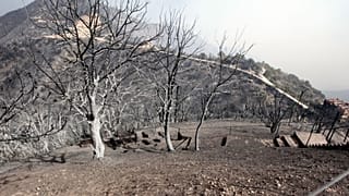 Algeria sees more than 22 wildfires in 8 provinces as southern winds see temperatures soar