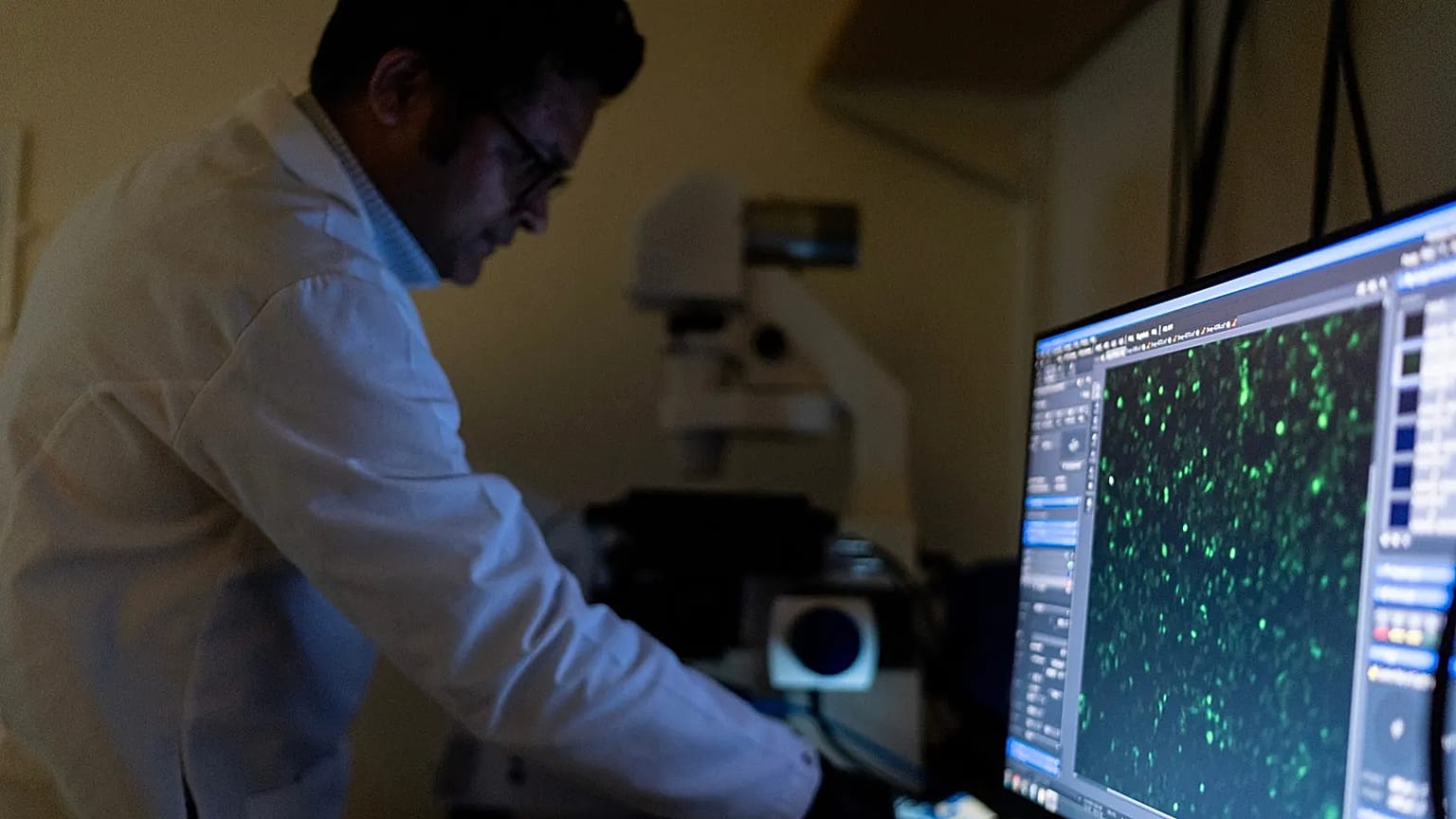 Dr. Sachin Surwase blickt im Labor durch ein Mikroskop und beobachtet Zellen. Er betreibt dort Autoimmunforschung an der Johns Hopkins University in den USA am 13. Mai 2025.