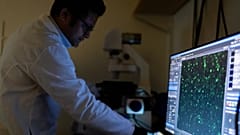 Dr. Sachin Surwase blickt im Labor durch ein Mikroskop und beobachtet Zellen. Er betreibt dort Autoimmunforschung an der Johns Hopkins University in den USA am 13. Mai 2025.