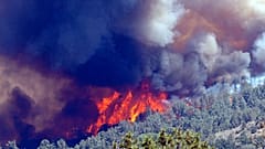 حريق باين يحترق في غابة أنجيليس الوطنية، يوم الثلاثاء 13 يوليو 2004، في كاليفورنيا. (صورة أسوشيتد برس/ صحيفة بيكرسفيلد كاليفورنيان، كيسي كريستي)