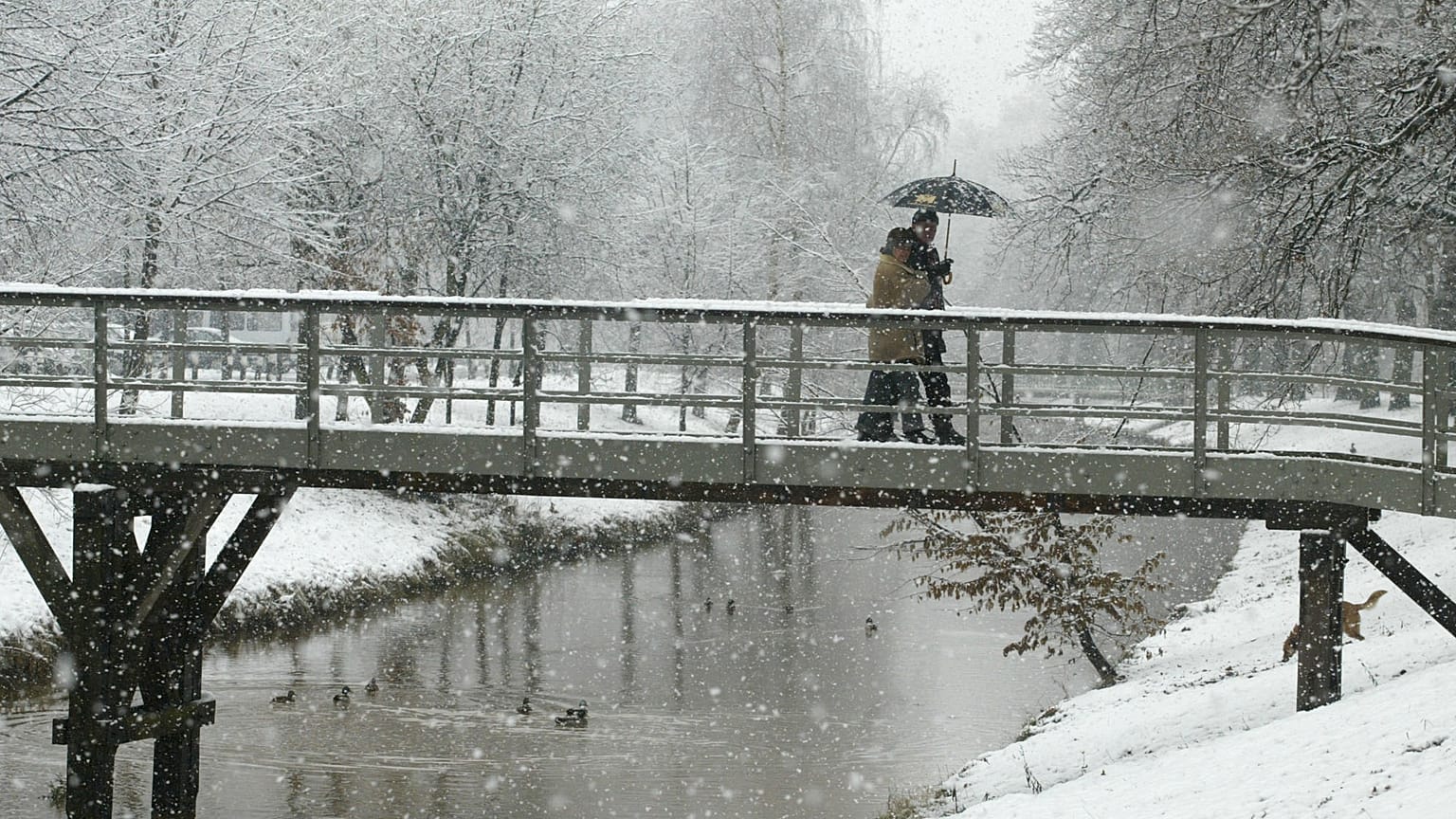 Spaziergänger im Schnee