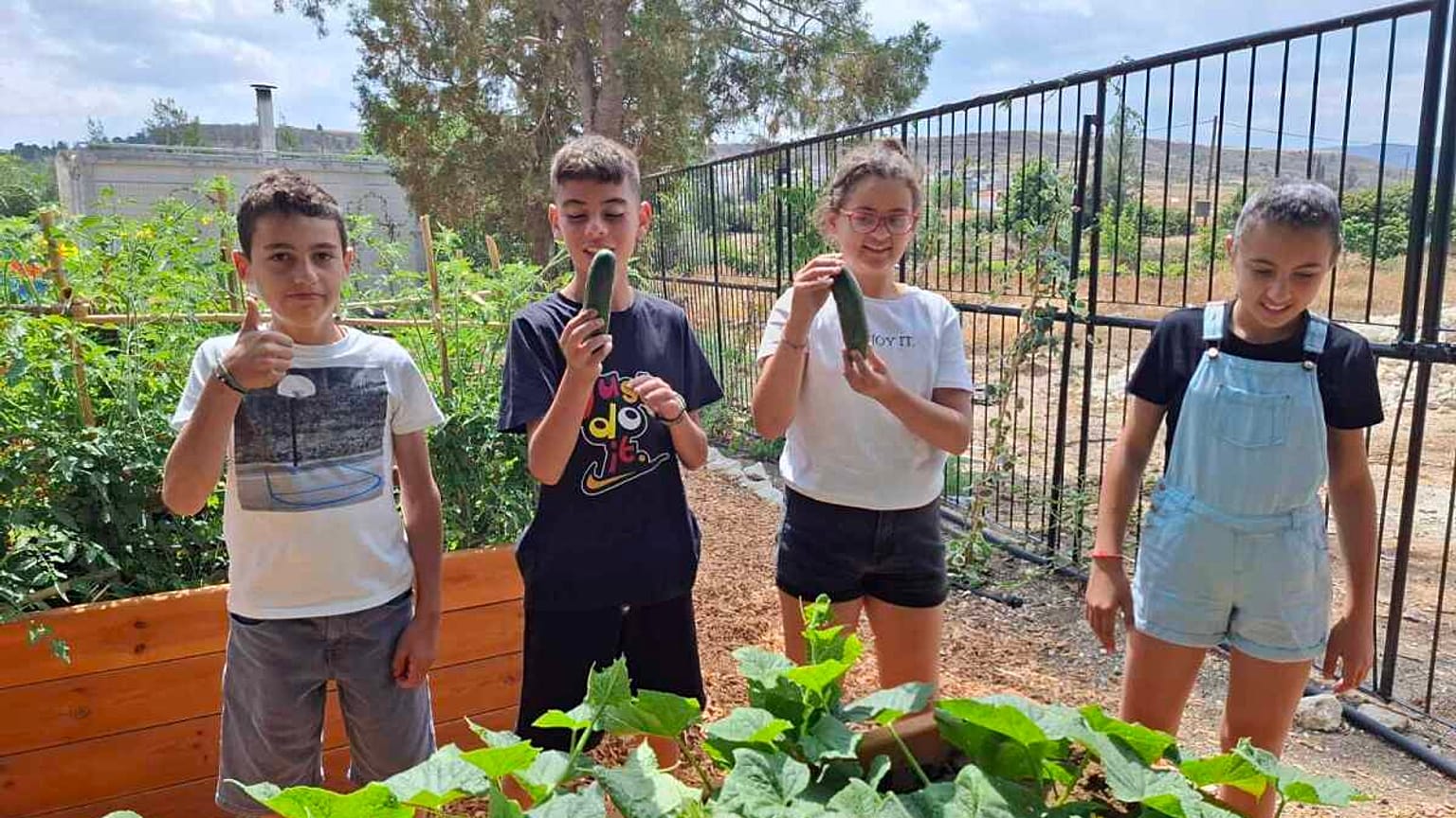 Zbiór ogórków z ogrodu warzywnego szkoły podstawowej Agrokipia na Cyprze